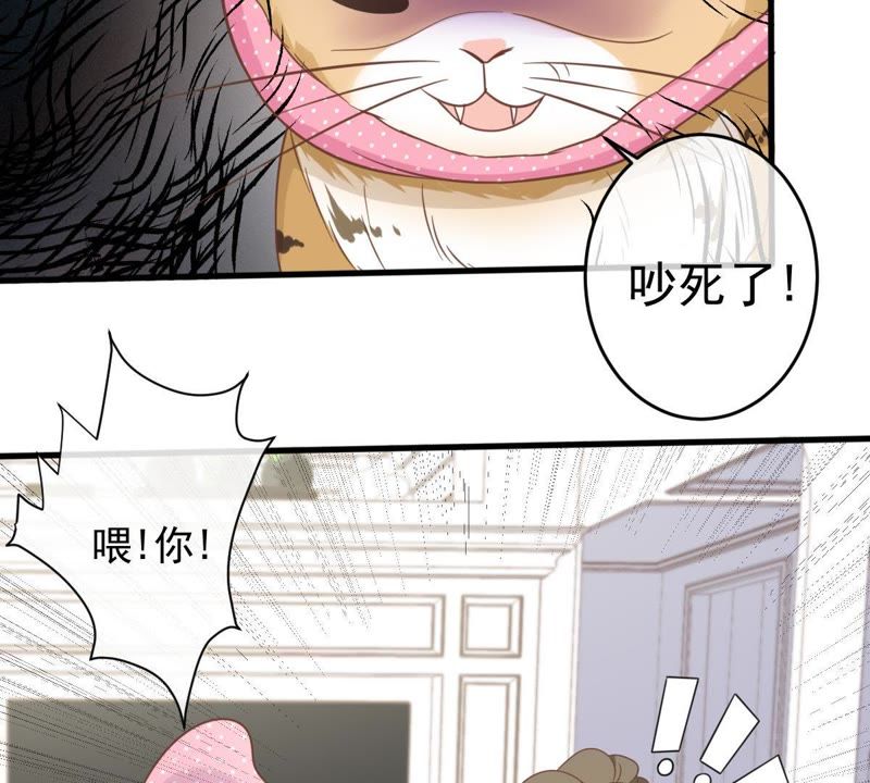 《世无良猫》漫画最新章节第14话 难以启齿的要求免费下拉式在线观看章节第【56】张图片