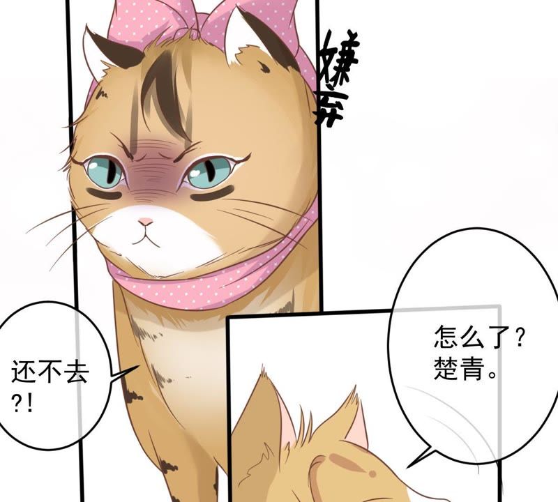 《世无良猫》漫画最新章节第14话 难以启齿的要求免费下拉式在线观看章节第【64】张图片