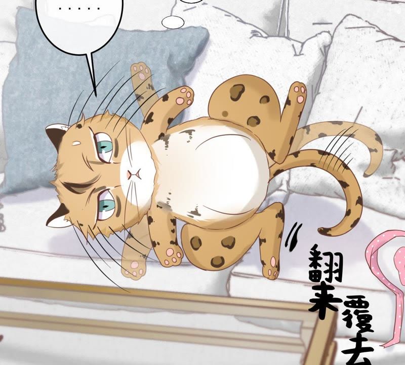 《世无良猫》漫画最新章节第14话 难以启齿的要求免费下拉式在线观看章节第【82】张图片