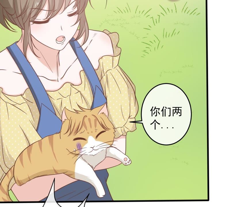 《世无良猫》漫画最新章节第14话 难以启齿的要求免费下拉式在线观看章节第【9】张图片