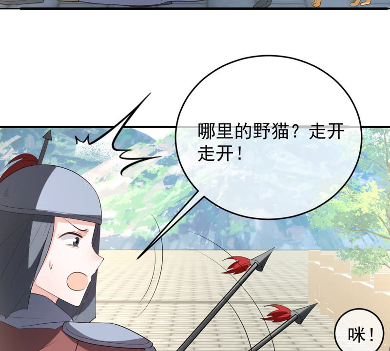 《世无良猫》漫画最新章节第139话 故伎重演免费下拉式在线观看章节第【32】张图片