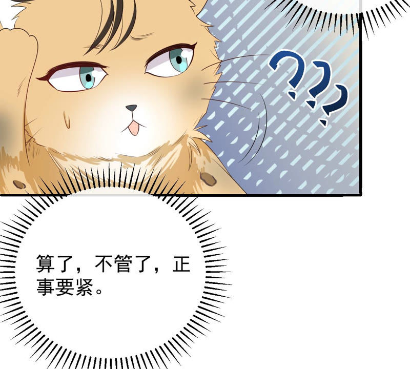 《世无良猫》漫画最新章节第140话 蒙混过关免费下拉式在线观看章节第【27】张图片