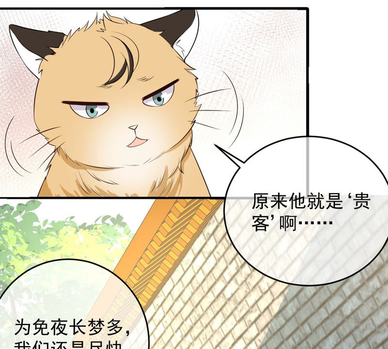 《世无良猫》漫画最新章节第140话 蒙混过关免费下拉式在线观看章节第【42】张图片