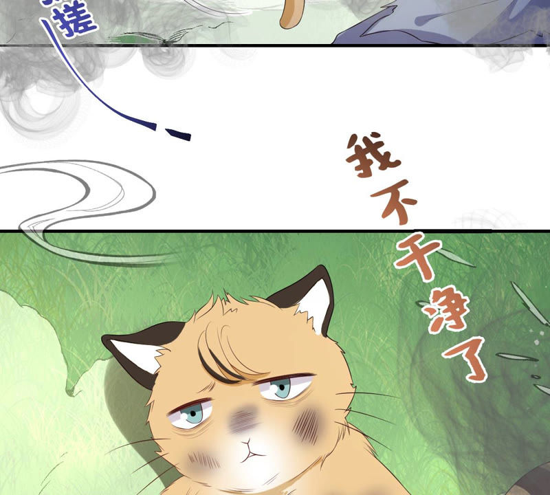 《世无良猫》漫画最新章节第140话 蒙混过关免费下拉式在线观看章节第【8】张图片