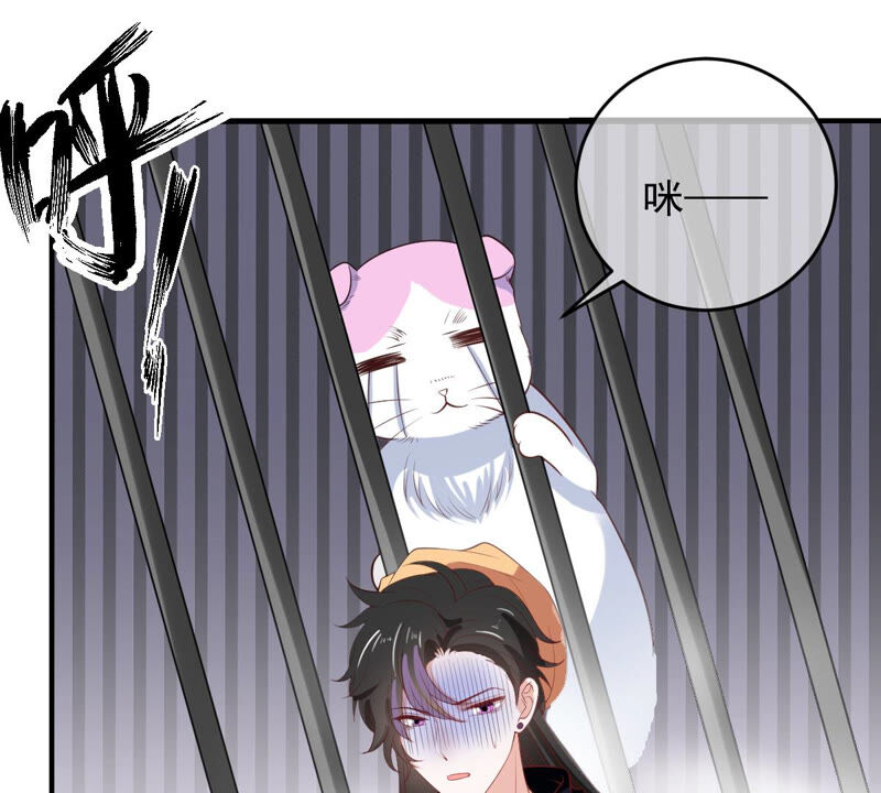 《世无良猫》漫画最新章节第151话 戏法师登场！免费下拉式在线观看章节第【42】张图片