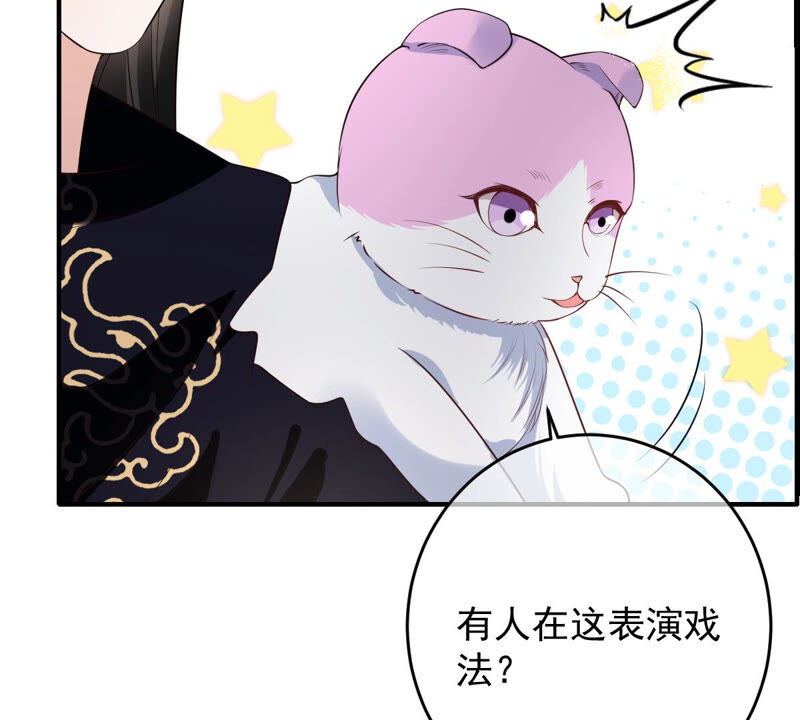 《世无良猫》漫画最新章节第151话 戏法师登场！免费下拉式在线观看章节第【50】张图片