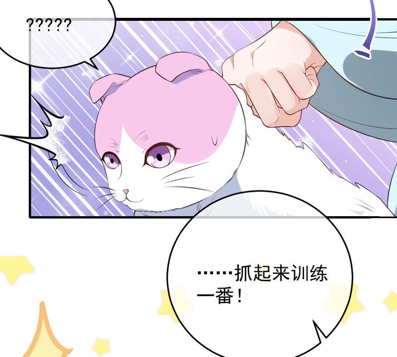 《世无良猫》漫画最新章节第152话 可怜又无助免费下拉式在线观看章节第【28】张图片