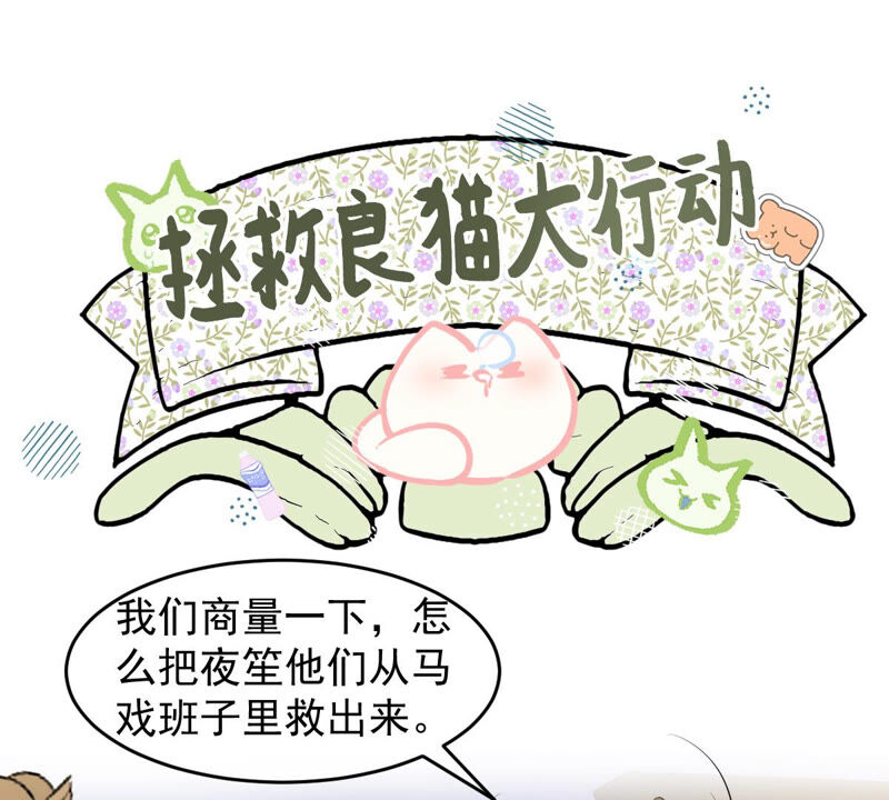 《世无良猫》漫画最新章节第154话 唤醒记忆免费下拉式在线观看章节第【3】张图片