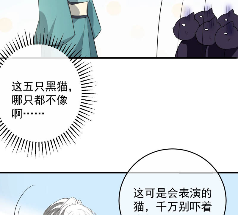 《世无良猫》漫画最新章节第157话 躲避搜捕免费下拉式在线观看章节第【31】张图片