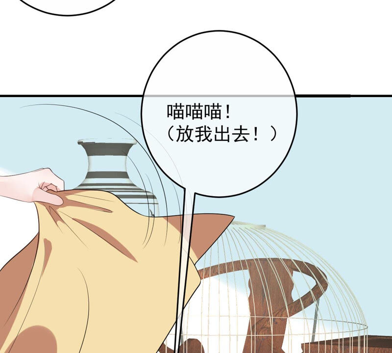 《世无良猫》漫画最新章节第158话 暗潮汹涌免费下拉式在线观看章节第【19】张图片