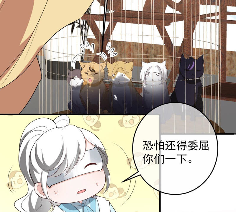 《世无良猫》漫画最新章节第158话 暗潮汹涌免费下拉式在线观看章节第【20】张图片