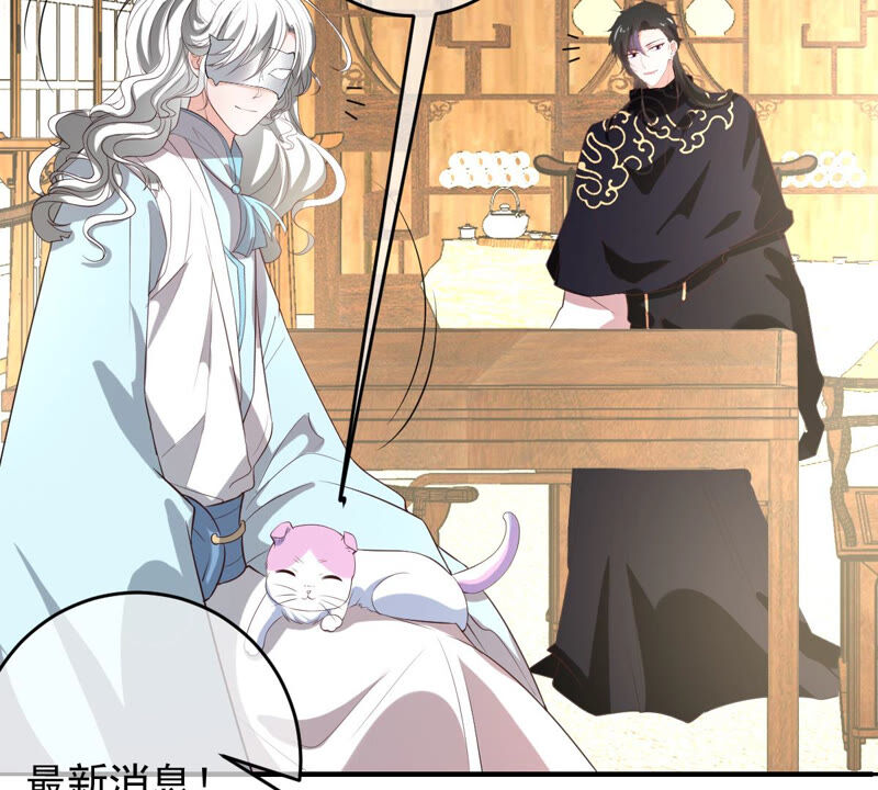 《世无良猫》漫画最新章节第161话 表白大行动免费下拉式在线观看章节第【33】张图片