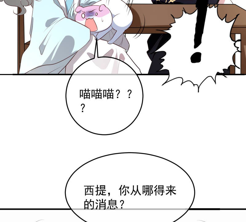 《世无良猫》漫画最新章节第161话 表白大行动免费下拉式在线观看章节第【36】张图片