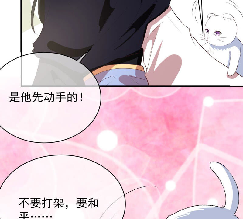 《世无良猫》漫画最新章节第164话 令人失望免费下拉式在线观看章节第【13】张图片