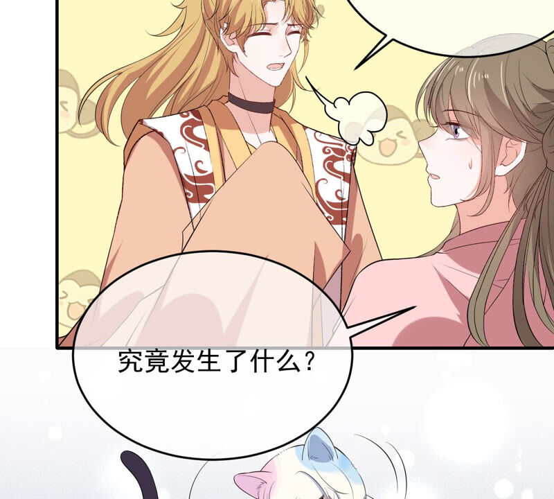 《世无良猫》漫画最新章节第164话 令人失望免费下拉式在线观看章节第【33】张图片