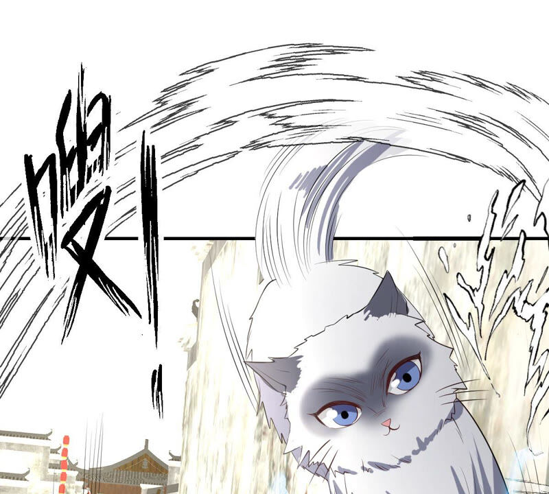 《世无良猫》漫画最新章节第168话 拉近关系免费下拉式在线观看章节第【11】张图片