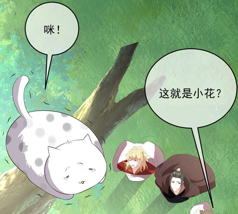 《世无良猫》漫画最新章节第168话 拉近关系免费下拉式在线观看章节第【39】张图片