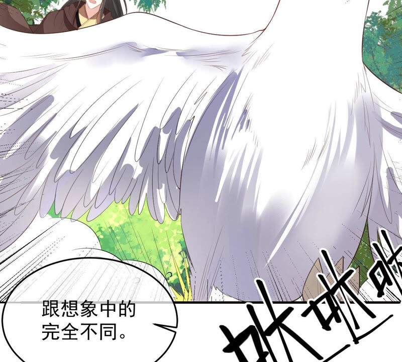 《世无良猫》漫画最新章节第168话 拉近关系免费下拉式在线观看章节第【41】张图片