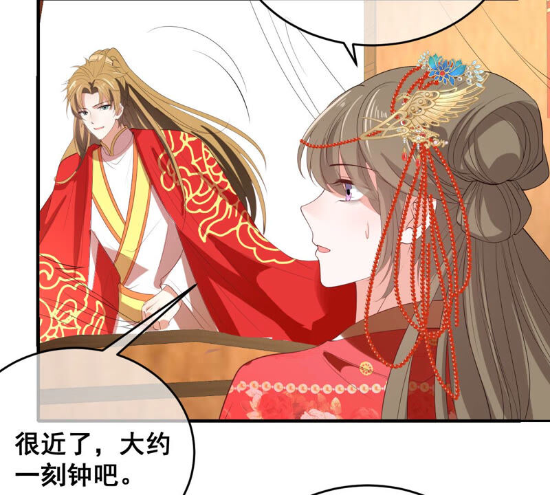 《世无良猫》漫画最新章节第173话 成亲在即免费下拉式在线观看章节第【41】张图片