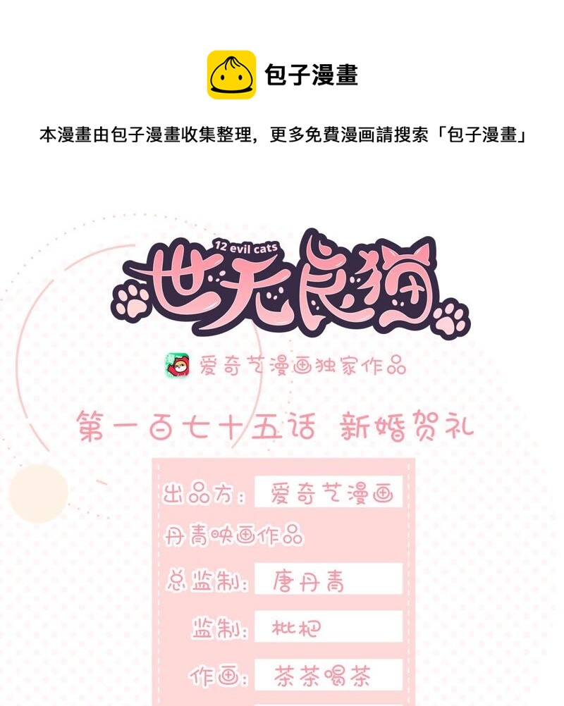 《世无良猫》漫画最新章节第175话 新婚贺礼免费下拉式在线观看章节第【1】张图片