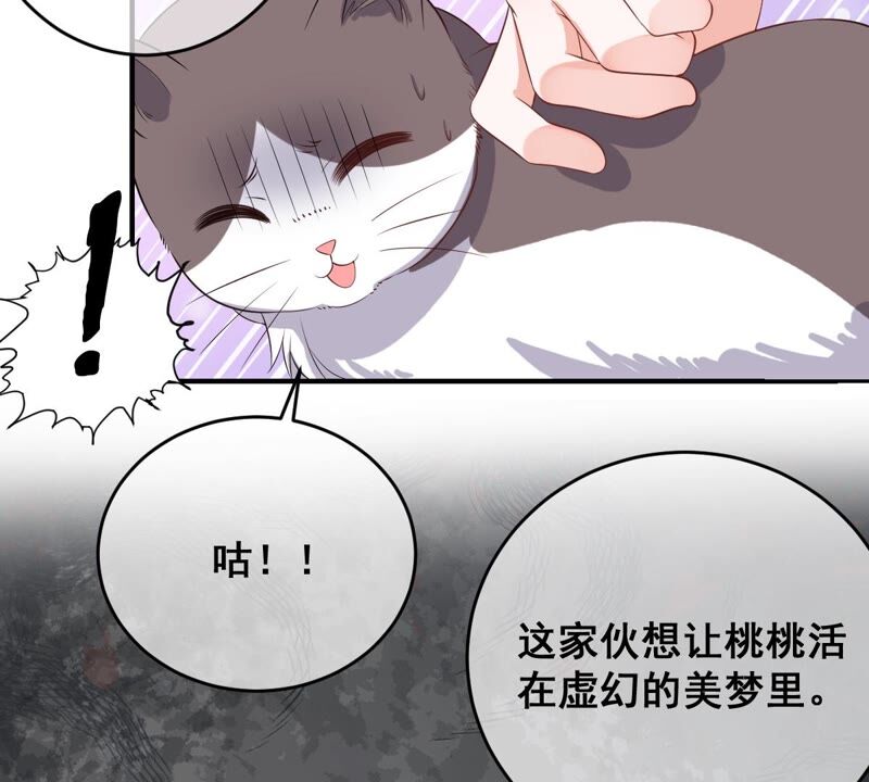 《世无良猫》漫画最新章节第178话 误会解开免费下拉式在线观看章节第【25】张图片