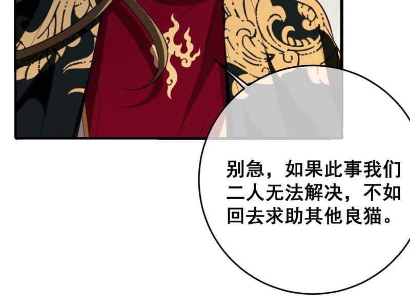 《世无良猫》漫画最新章节第185话 惨败免费下拉式在线观看章节第【38】张图片