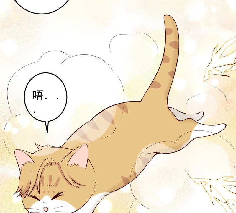 《世无良猫》漫画最新章节第19话 礼尚往来免费下拉式在线观看章节第【6】张图片