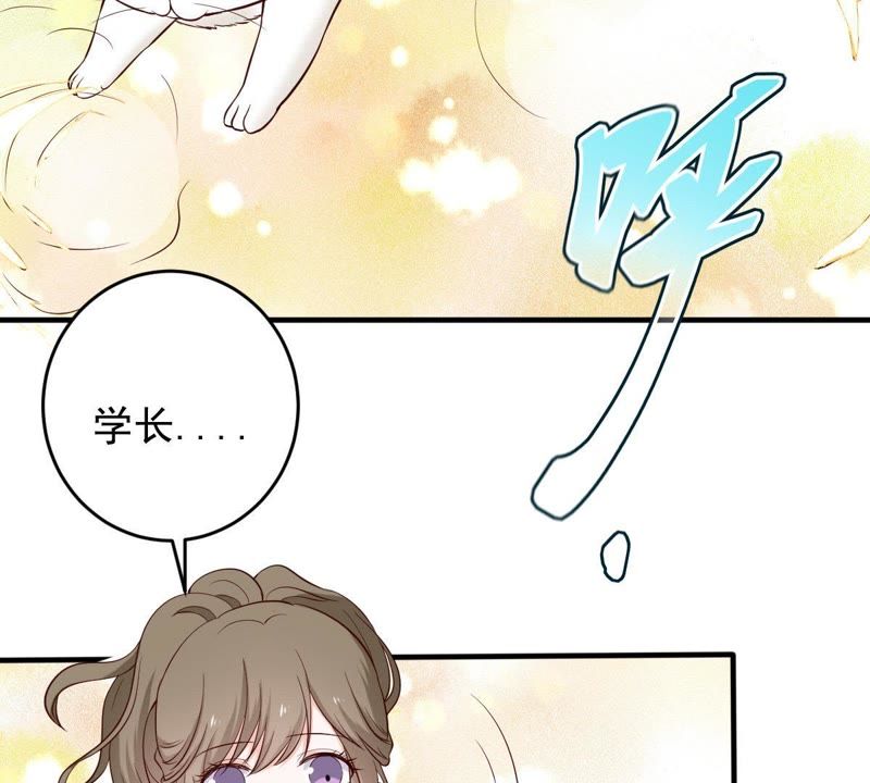 《世无良猫》漫画最新章节第19话 礼尚往来免费下拉式在线观看章节第【7】张图片