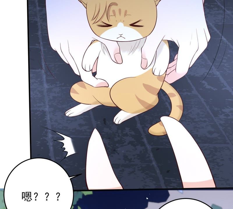 《世无良猫》漫画最新章节第19话 礼尚往来免费下拉式在线观看章节第【9】张图片