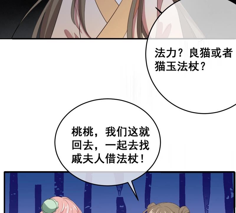 《世无良猫》漫画最新章节第190话 轮回免费下拉式在线观看章节第【22】张图片