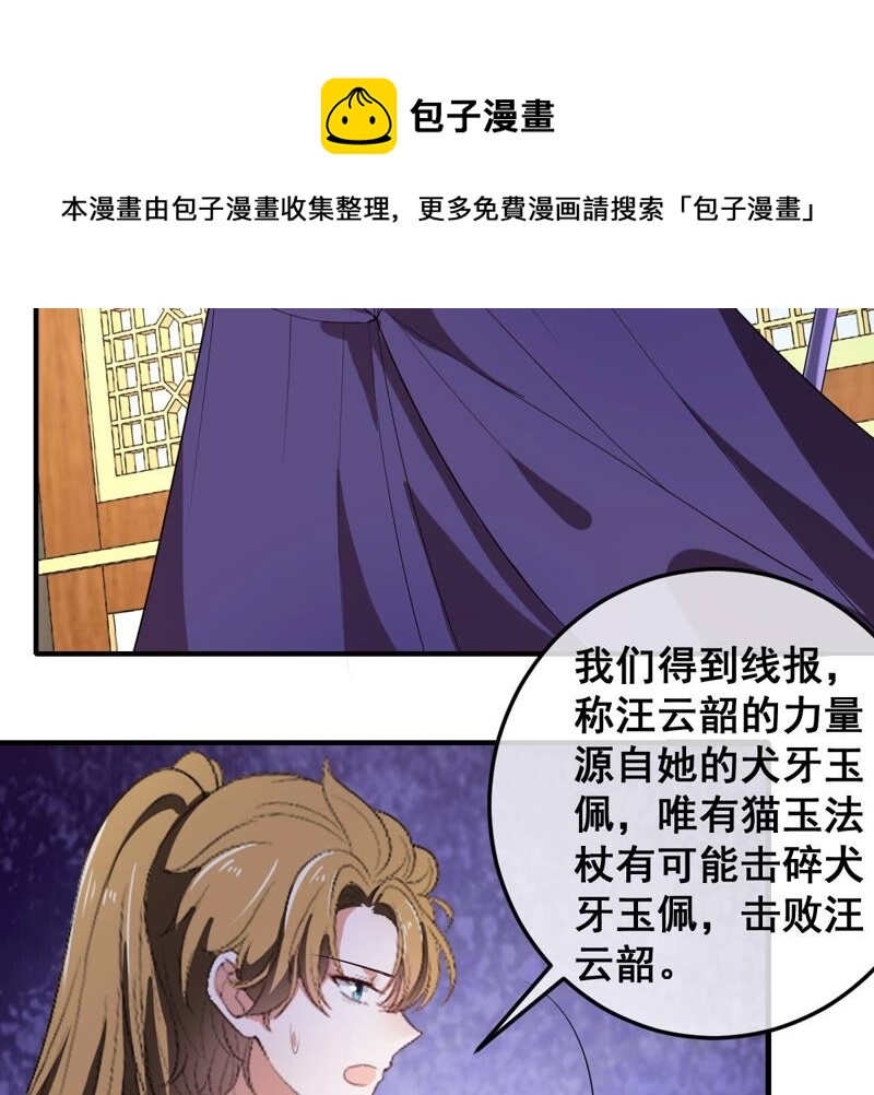 《世无良猫》漫画最新章节第192话 猫玉法杖免费下拉式在线观看章节第【17】张图片