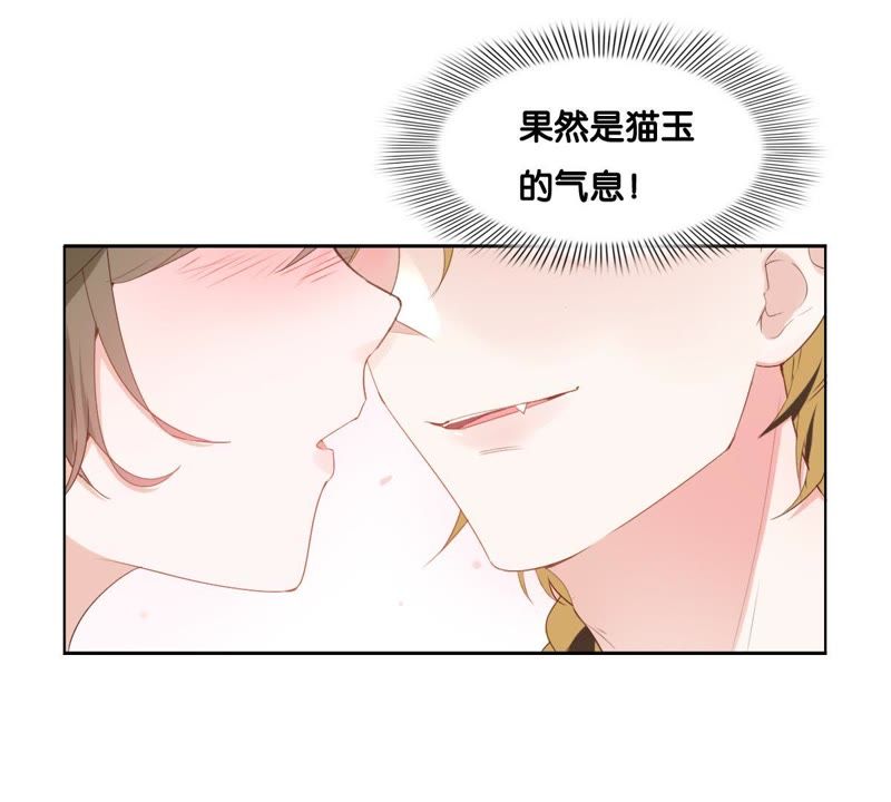 《世无良猫》漫画最新章节第2话 神秘男人的来历免费下拉式在线观看章节第【3】张图片