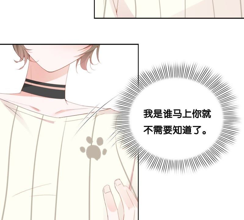 《世无良猫》漫画最新章节第2话 神秘男人的来历免费下拉式在线观看章节第【5】张图片