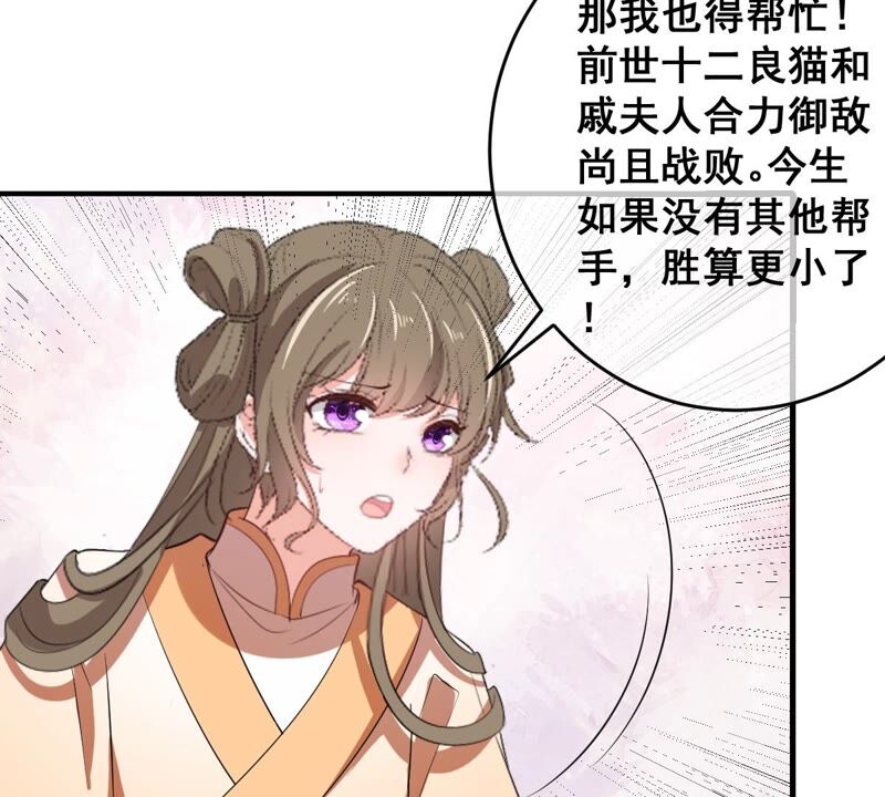 《世无良猫》漫画最新章节第198话 招兵买马免费下拉式在线观看章节第【42】张图片