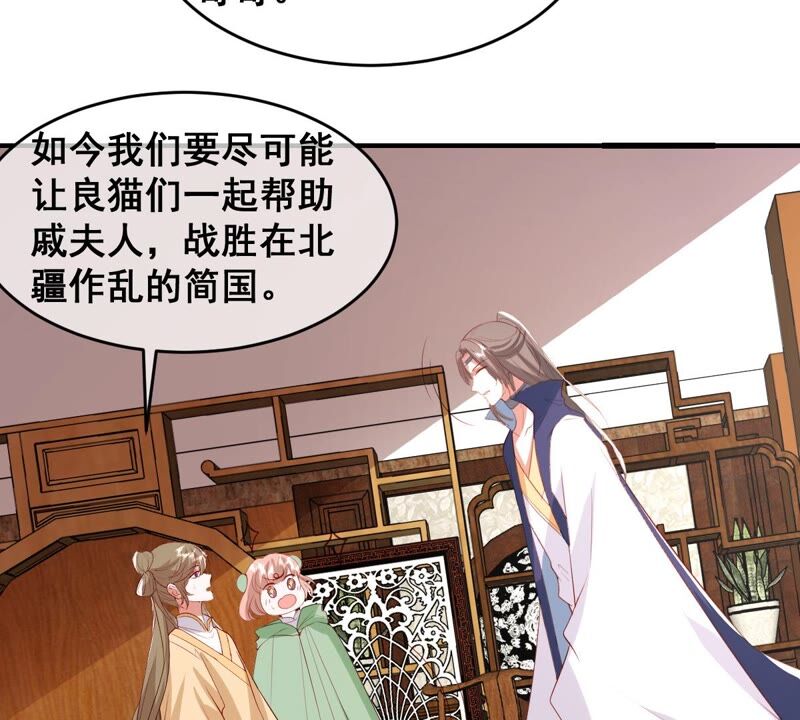 《世无良猫》漫画最新章节第199话 唤醒记忆免费下拉式在线观看章节第【22】张图片