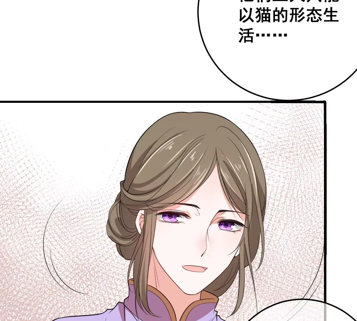 《世无良猫》漫画最新章节第210话 穿越的代价免费下拉式在线观看章节第【43】张图片