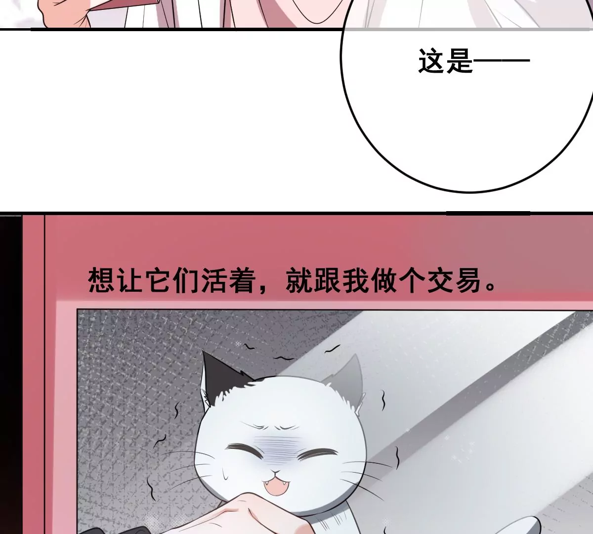 《世无良猫》漫画最新章节第219话 嫁给我吧免费下拉式在线观看章节第【51】张图片