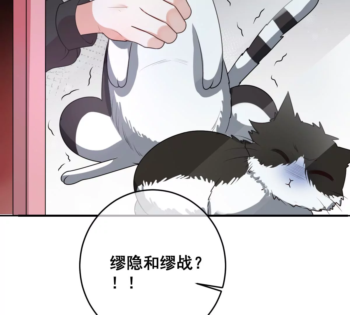 《世无良猫》漫画最新章节第219话 嫁给我吧免费下拉式在线观看章节第【52】张图片