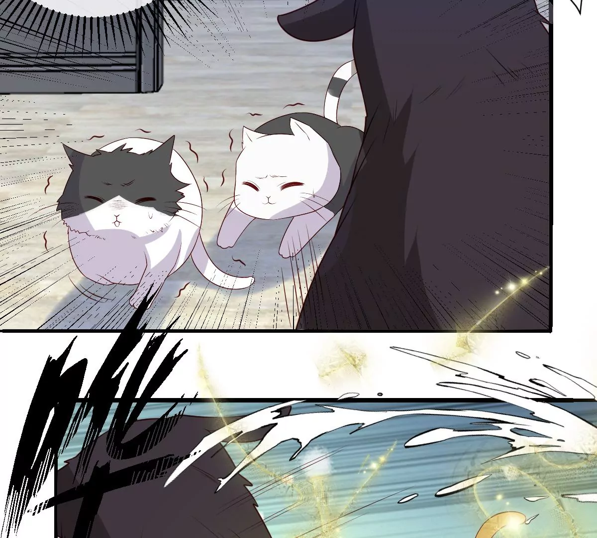 《世无良猫》漫画最新章节第227话 少女赶到！免费下拉式在线观看章节第【10】张图片