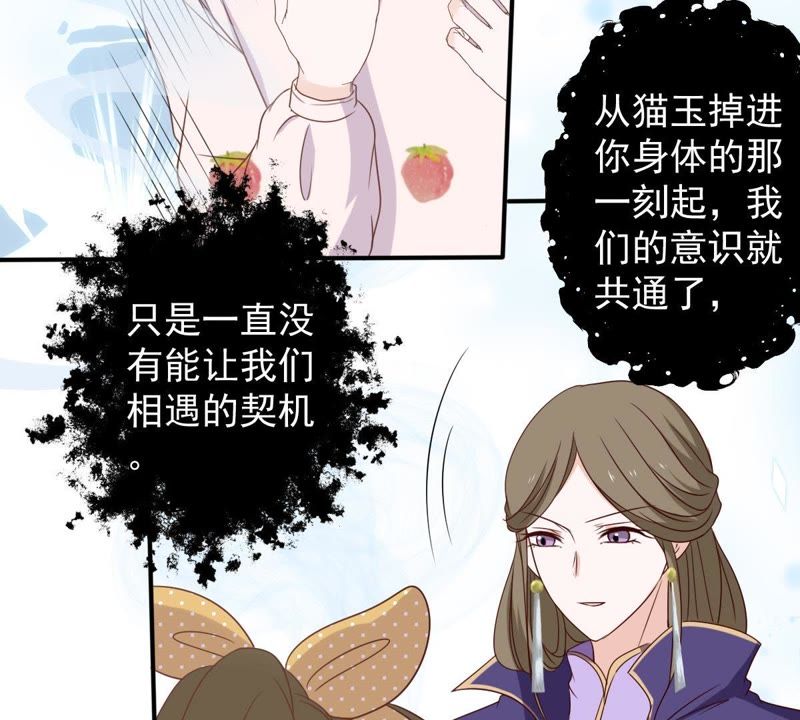 《世无良猫》漫画最新章节第23话 楚青与戚夫人免费下拉式在线观看章节第【21】张图片