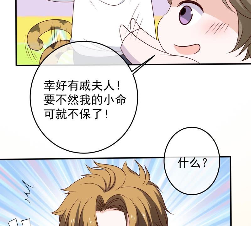 《世无良猫》漫画最新章节第23话 楚青与戚夫人免费下拉式在线观看章节第【48】张图片