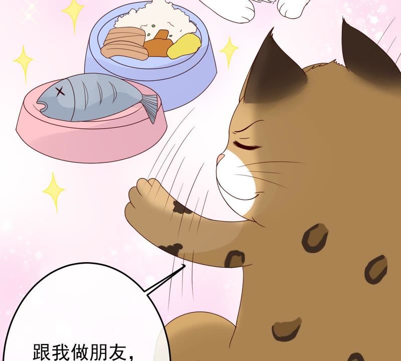 《世无良猫》漫画最新章节第25话 狗粮天上来免费下拉式在线观看章节第【14】张图片