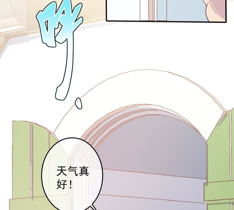 《世无良猫》漫画最新章节第25话 狗粮天上来免费下拉式在线观看章节第【5】张图片