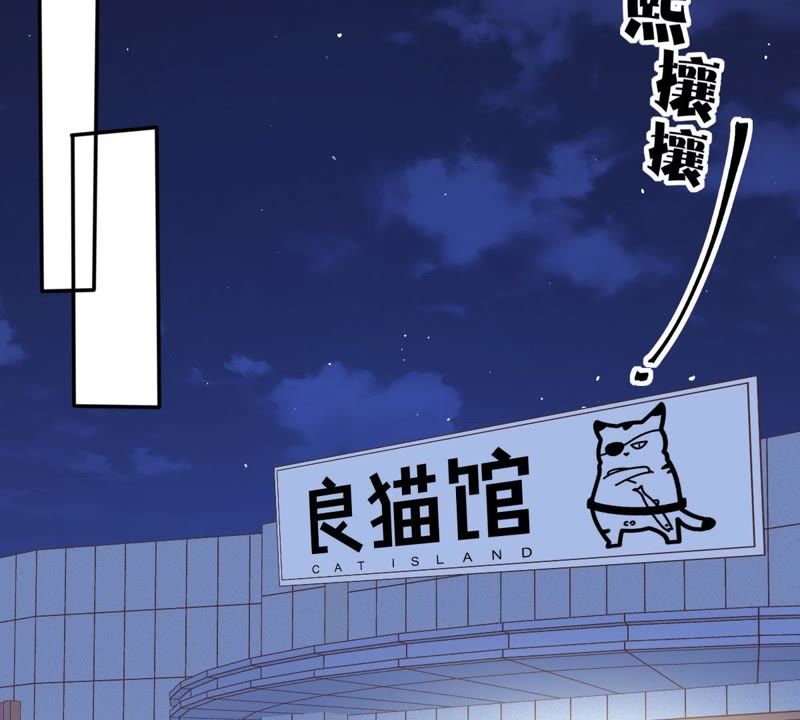 《世无良猫》漫画最新章节第27话 深夜的子弹免费下拉式在线观看章节第【11】张图片