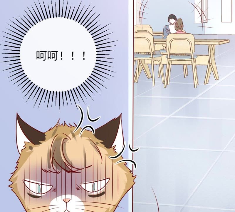 《世无良猫》漫画最新章节第28话 楚青的备胎免费下拉式在线观看章节第【56】张图片