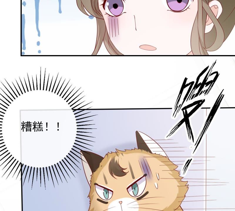 《世无良猫》漫画最新章节第29话 追妻火葬场免费下拉式在线观看章节第【10】张图片