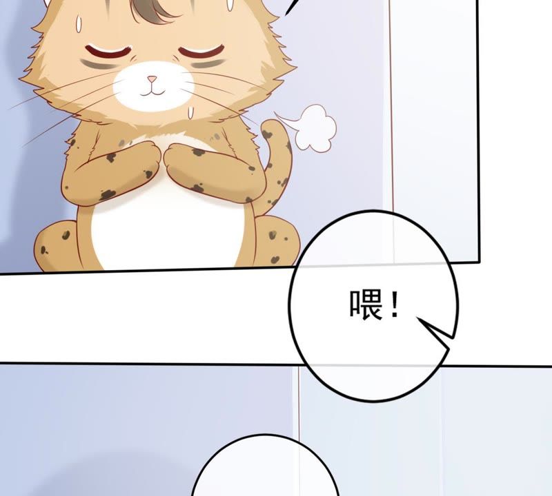 《世无良猫》漫画最新章节第29话 追妻火葬场免费下拉式在线观看章节第【14】张图片