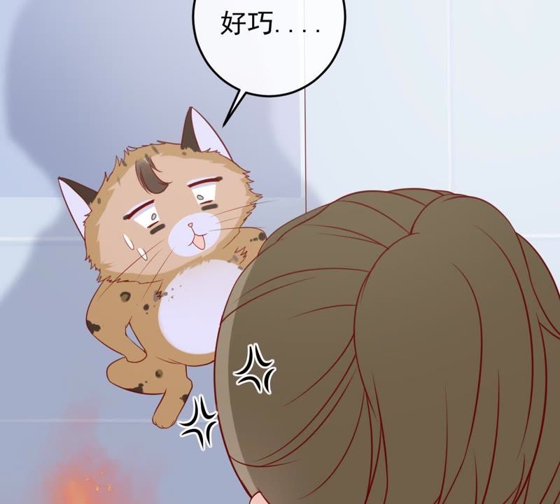 《世无良猫》漫画最新章节第29话 追妻火葬场免费下拉式在线观看章节第【15】张图片