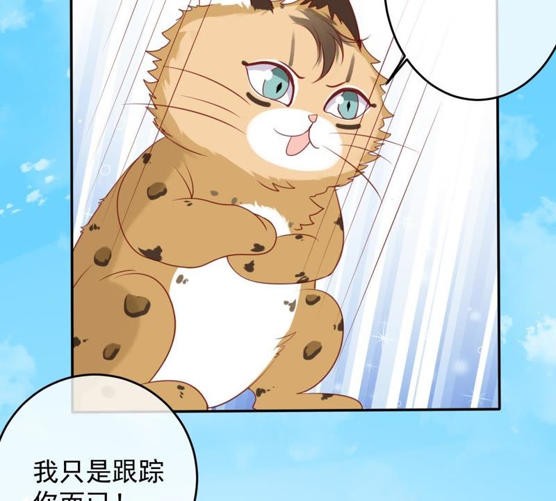 《世无良猫》漫画最新章节第29话 追妻火葬场免费下拉式在线观看章节第【21】张图片