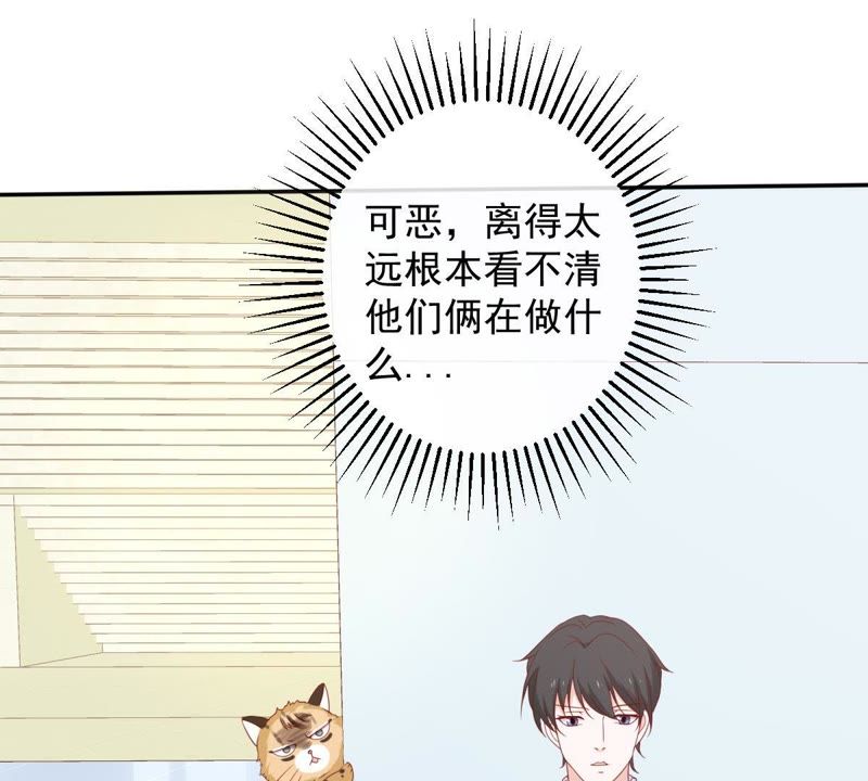 《世无良猫》漫画最新章节第29话 追妻火葬场免费下拉式在线观看章节第【3】张图片